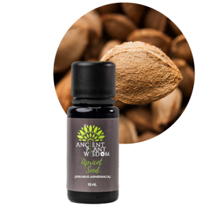 APW® Apricot Seed Nut Oil - Prunus Armeniaca - 15 ml - Organic