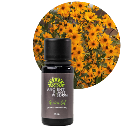 APW® Arnica Nut Oil - Organic - Arnica Montana