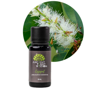 APW® Cajeput Essential Oil - Melaleuca cajuputi - Organic - 15-ml