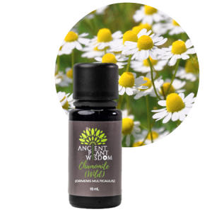 APW® Chamomile (Wild) Essential Oil - Organic - Ormenis Multicaulis - 15 ml