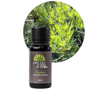 APW® Davana Essential Oil - Artimisia Pallens - Organic - 15 ml