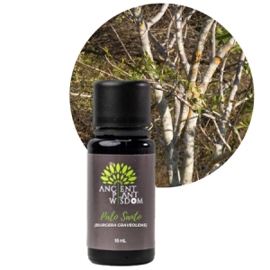 APW® Palo Santo - Burgera Graveolens - Essential Oil - Organic - 15 ml