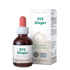 SYS Ginger - Digestive and Systemic Balance - 50 ml