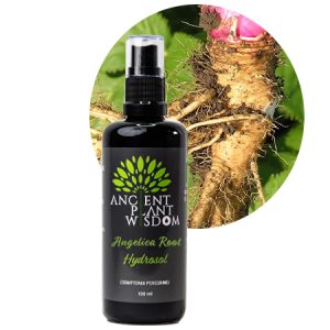 APW® Angelica Root Hydrosol - Organic - Angelica Archangelica Officinalis