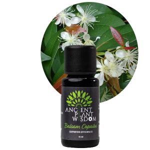 APW® Balsam Copal (Copaiba) Essential Oil - Pure - Copaifera Officinalis