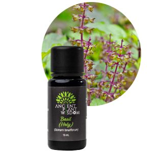 APW® Basil (Holy) Essential Oil - Organic - Ocimum Tenuiflorum