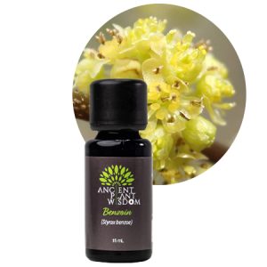 APW® Benzoin Essential Oil - Organic - Styrax benzoin
