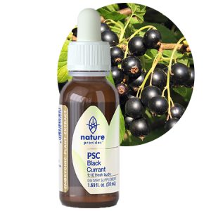 PSC BLACK CURRANT (Ribes nigrum)
