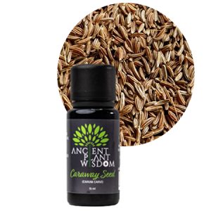 APW® Caraway Seed Essential Oil - Organic - Carum Carvi