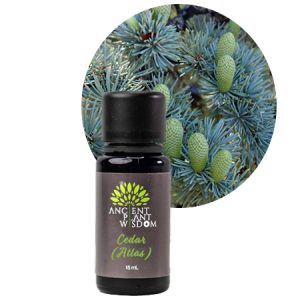 APW® Cedar (Atlas) Essential Oil - Organic - Cedrus Atlantica