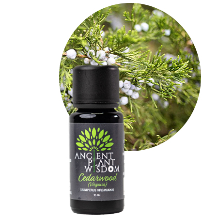 APW® Cedarwood (Virginia) Essential Oil - Pure - Juniperus Virginiana