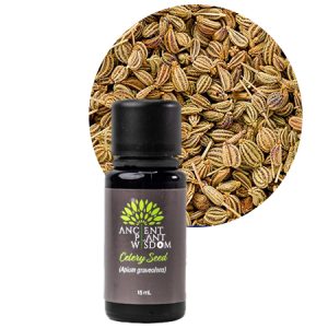 APW® Celery Seed Essential Oil - Organic - Apium Graveolens
