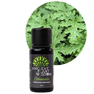 APW® Citronella Essential Oil - Organic - Cymbopogon Winterianus