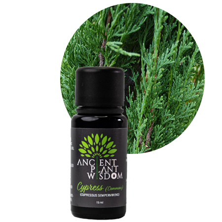 APW® Cypress (Common) Essential Oil - Organic - Cupressus Sempervirens
