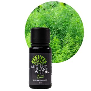 APW® Dill Essential Oil - Pure - Anthem Graveolens