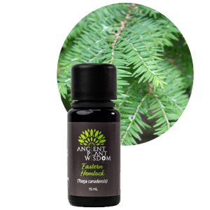 APW® Fir/Hemlock (Eastern) Essential Oil - Organic - Tsuga Canadensis