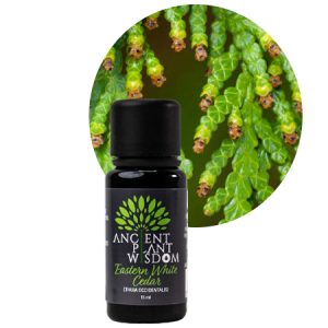 APW® Eastern White Cedar Essential Oil - Organic - Thuja Occidentalis