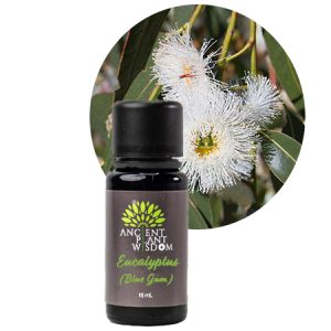 APW® Eucalyptus (Blue Gum) Essential Oil - Organic - Eucalyptus Globulus