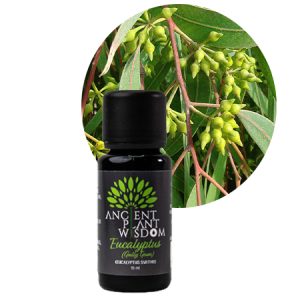 APW® Eucalyptus (Gully Gum) Essential Oil - Organic - Eucalyptus Smithii