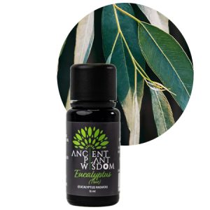 APW® Eucalyptus (True) Essential Oil - Organic - Eucalyptus Radiata