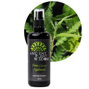 APW® Fern (Sweet) Hydrosol - Organic - Comptonia Peregrine