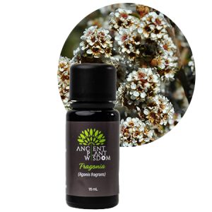 APW® Fragonia Essential Oil - Organic - Agonis Fragrans