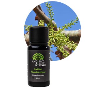 APW® Frankincense (Indian) Essential Oil - Organic - Boswellia Serrata
