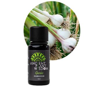 APW® Garlic Essential Oil - Organic - Allium Sativum