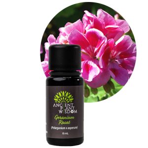 APW® Geranium (Rosat) Essential Oil - Organic - Pelargonium Rosat
