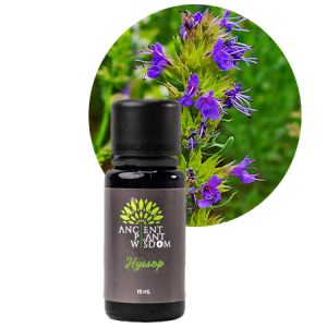 APW® Hyssop Essential Oil - Organic - Hyssopus Officinialis