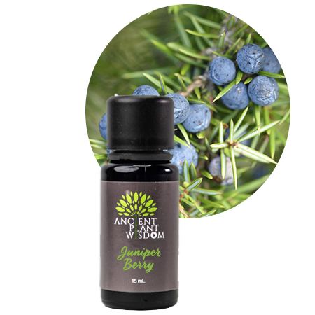APW® Juniper Berry Essential Oil - Organic - Juniperus Communis