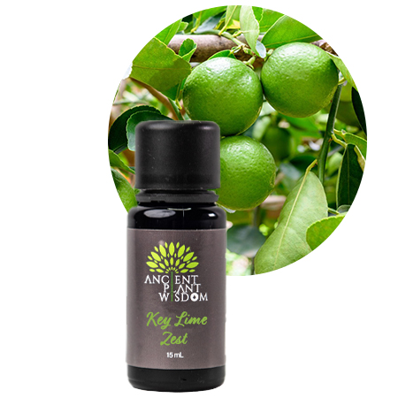 APW® Key Lime Zest Essential Oil - Organic - Citrus Aurantifolia