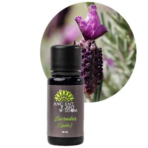 APW® Lavender (Spike) Essential Oil - Organic - Lavendula Latifolia