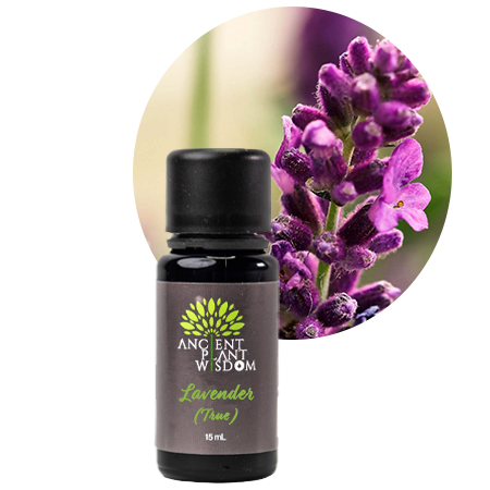 APW® Lavender (True) Essential Oil - Organic - Lavendula Officinalis