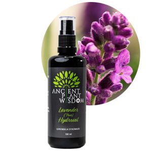 APW® Lavender (True) Hydrosol - Organic - Lavendula Officinalis