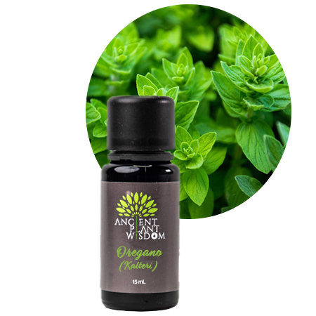 APW® Oregano Kalteri Essential Oil - Pure - Origanum Vulgare Kaliteria