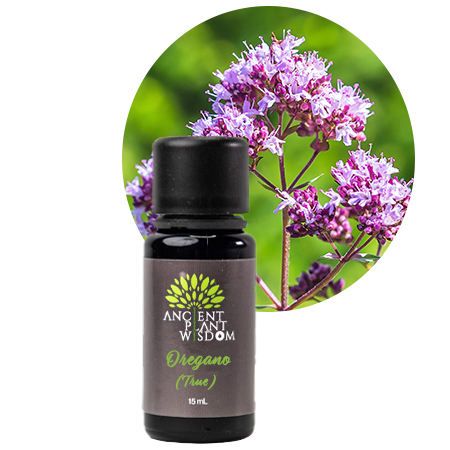 APW® Oregano (True) Essential Oil - Organic - Origanum Compactum