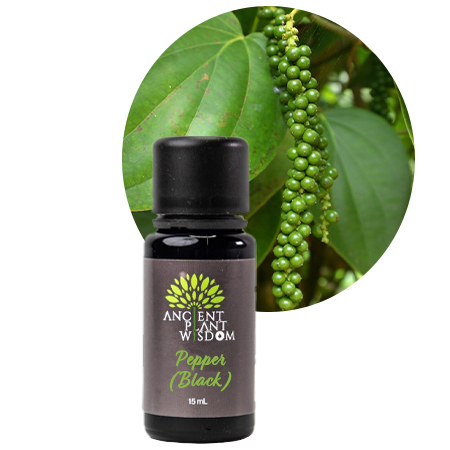 APW® Pepper (Black) Essential Oil - Organic - Piper Nigrum