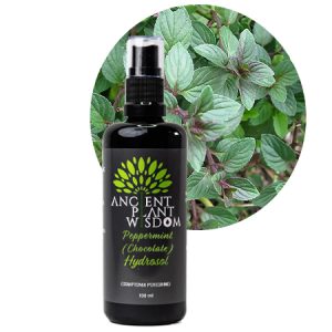APW® Peppermint (Chocolate) Hydrosol - Organic - Mentha Piperita