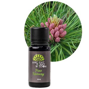 APW® Pine (Norway) Essential Oil - Organic - Pinus Resinosa