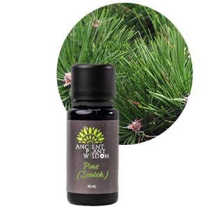 APW® Pine (Scotch) Essential Oil - Organic - Pinus Sylvestris