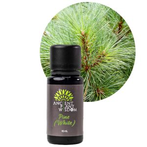 APW® Pine (White) Essential Oil - Organic - Pinus Strobus