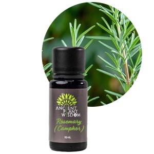 APW® Rosemary (Camphor) Essential Oil - Organic - Rosmarinus Officinalis Camphoriferum