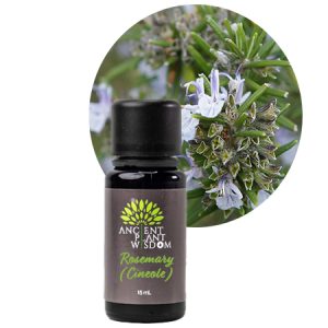 APW® Rosemary (Cineole) Essential Oil - Organic - Rosmarinus Officinalis