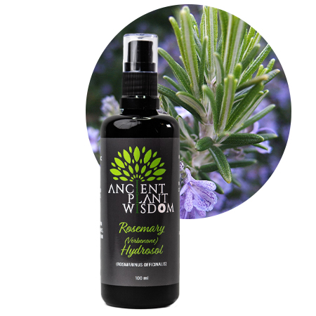 APW® Rosemary (Verbenone) Hydrosol - Organic - Rosemarinus Officinalis