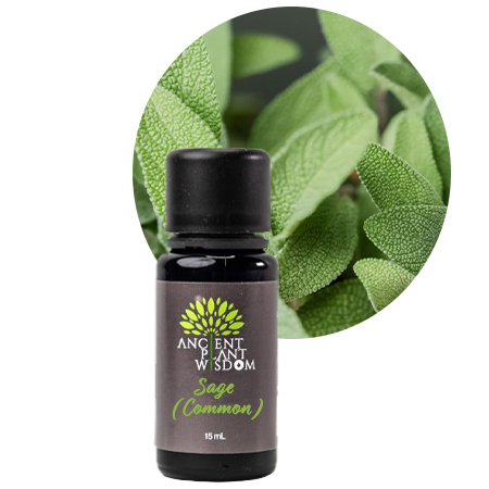 APW® Sage (Common) Essential Oil - Organic - Salvia Sclarea