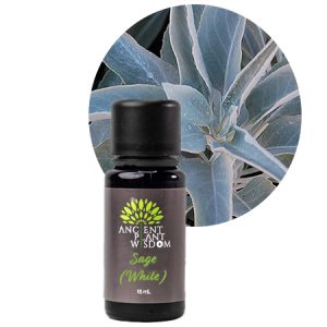 APW® Sage (White) Essential Oil - Organic - Salvia Apiana