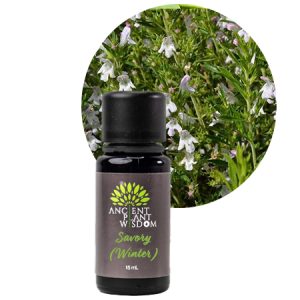 APW® Savory (Winter) Essential Oil - Organic - Satureja Montana
