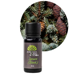 APW® Spruce (Black) Essential Oil - Organic - Picea Mariana