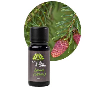 APW® Spruce (White) Essential Oil - Organic - Picea Glauca